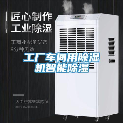 工廠車間用草莓污视频在线看智能除濕