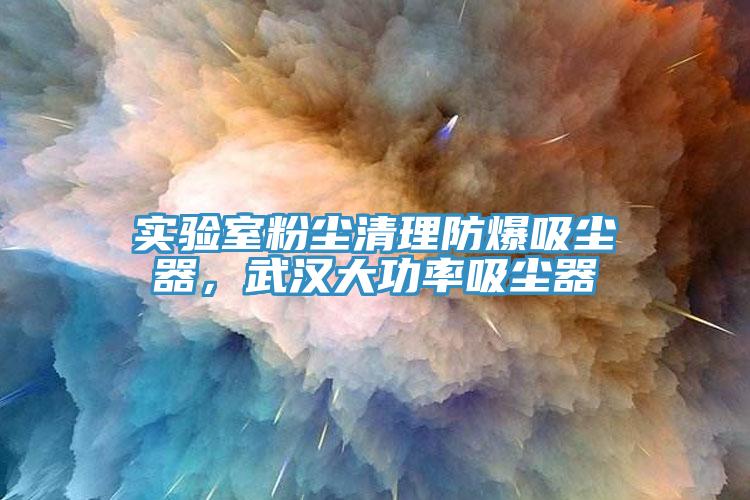 實驗室粉塵清理防爆吸塵器，武漢大功率吸塵器