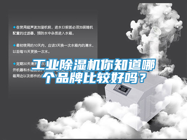 工業草莓污视频在线看你知道哪個品牌比較好嗎？