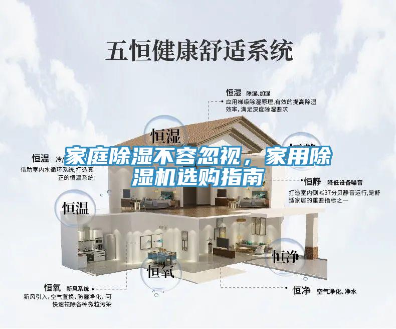家庭除濕不容忽視，家用草莓污视频在线看選購指南