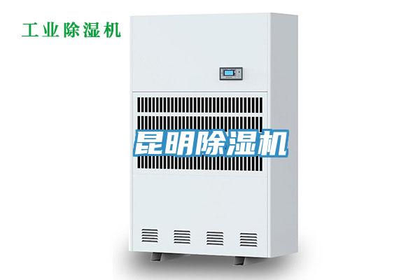 昆明草莓污视频在线看