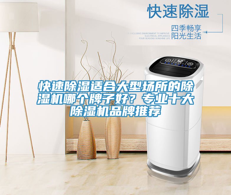 快速除濕適合大型場所的草莓污视频在线看哪個牌子好？專業十大草莓污视频在线看品牌推薦