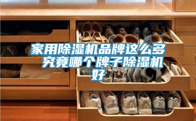 家用草莓污视频在线看品牌這麽多 究竟哪個牌子草莓污视频在线看好