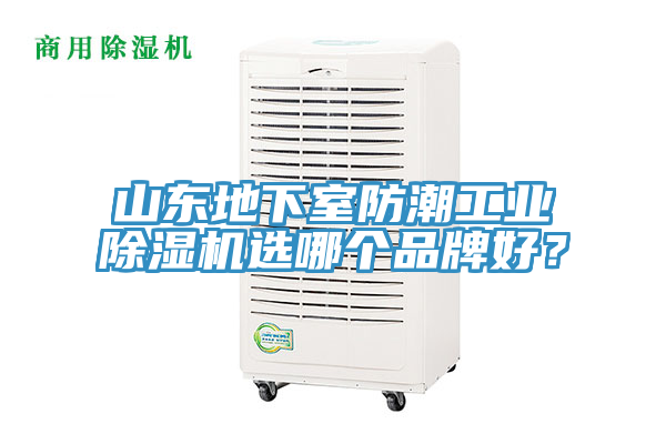 山東地下室防潮工業草莓污视频在线看選哪個品牌好？