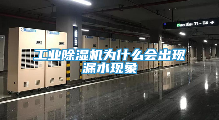 工業草莓污视频在线看為什麽會出現漏水現象