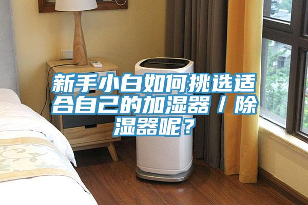 新手小白如何挑選適合自己的加濕器／除濕器呢？