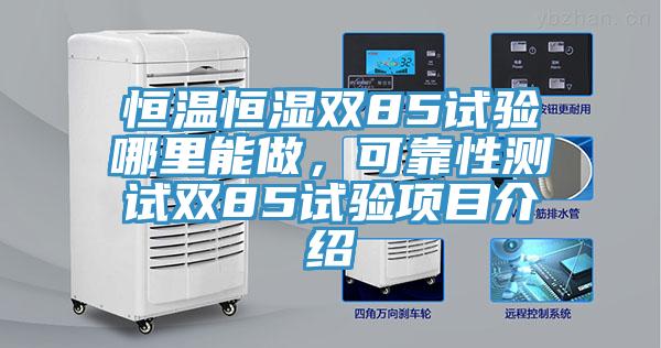恒溫恒濕雙85試驗哪裏能做，可靠性測試雙85試驗項目介紹
