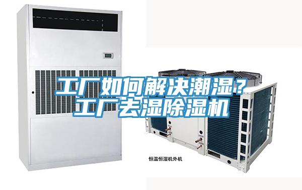 工廠如何解決潮濕？工廠去濕草莓污视频在线看