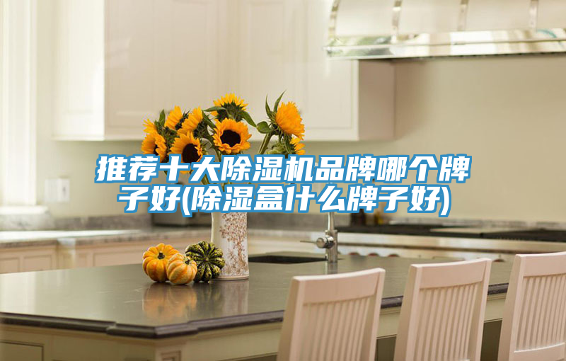 推薦十大草莓污视频在线看品牌哪個牌子好(除濕盒什麽牌子好)