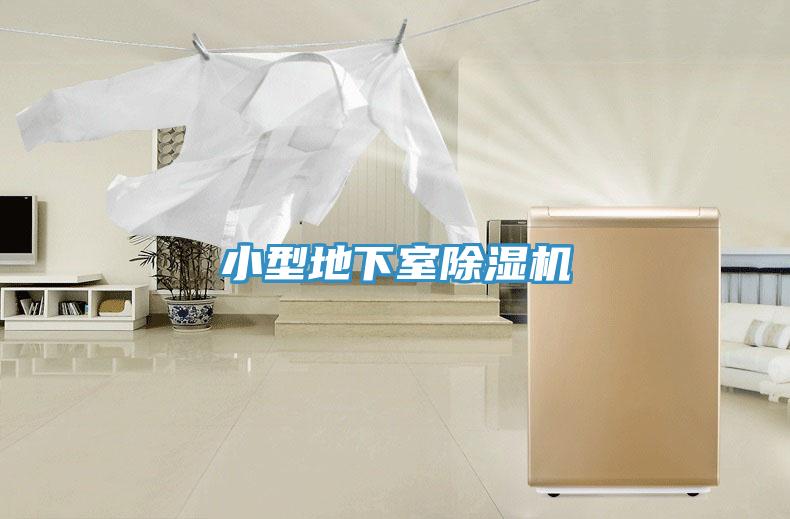 小型地下室草莓污视频在线看