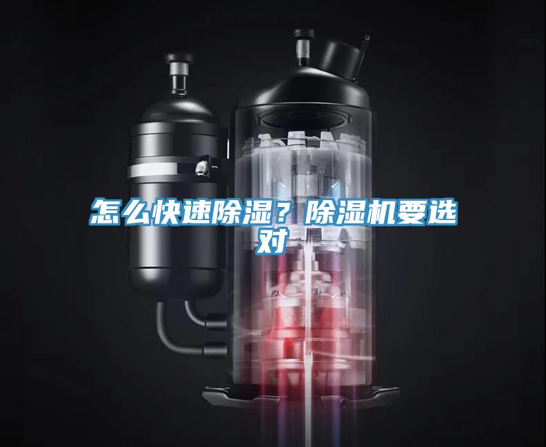 怎麽快速除濕？草莓污视频在线看要選對