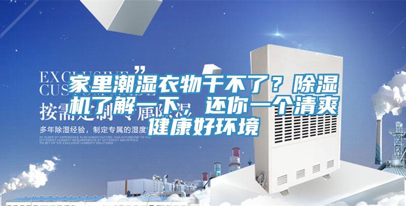 家裏潮濕衣物幹不了？草莓污视频在线看了解一下，還你一個清爽健康好環境