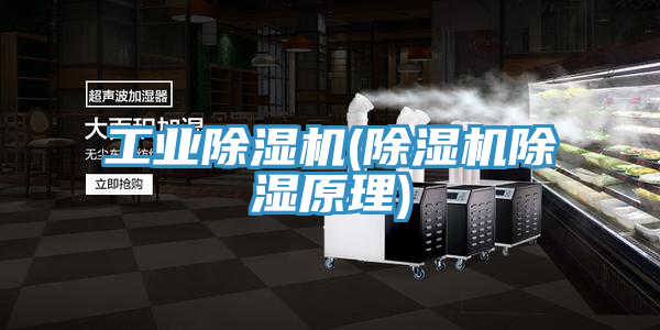 工業草莓污视频在线看(草莓污视频在线看除濕原理)