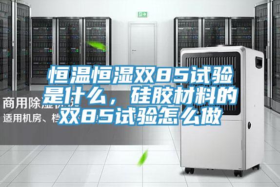 恒溫恒濕雙85試驗是什麽，矽膠材料的雙85試驗怎麽做