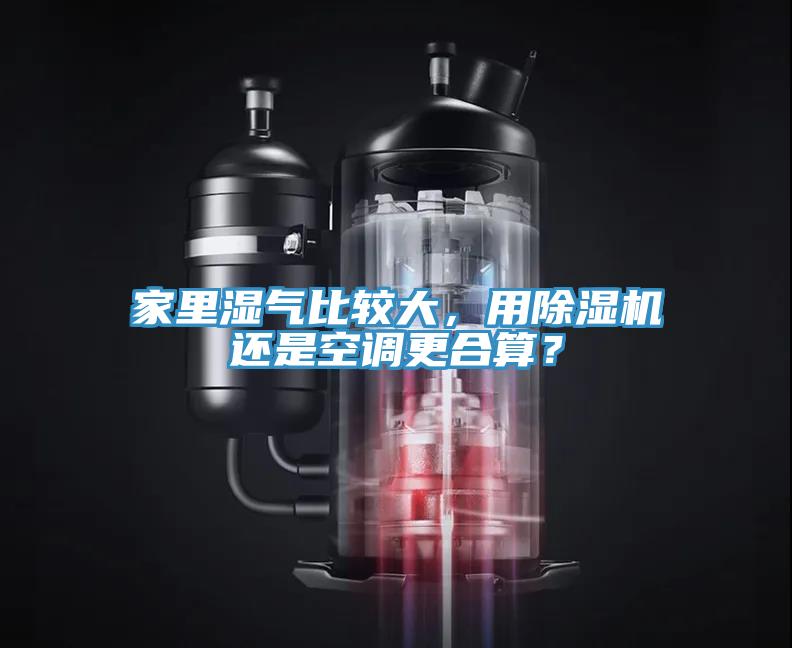 家裏濕氣比較大，用草莓污视频在线看還是空調更合算？