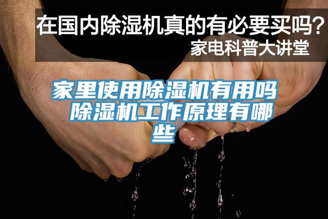 家裏使用草莓污视频在线看有用嗎 草莓污视频在线看工作原理有哪些