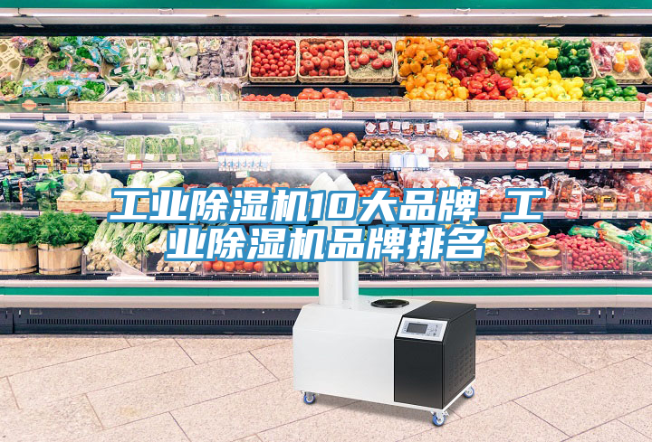 工業草莓污视频在线看10大品牌 工業草莓污视频在线看品牌排名