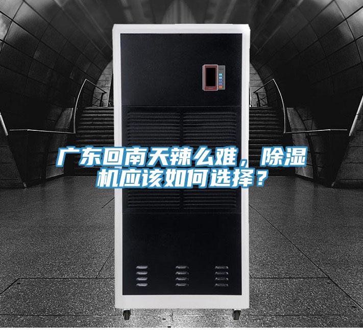 廣東回南天辣麽難，草莓污视频在线看應該如何選擇？