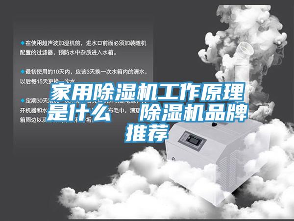 家用草莓污视频在线看工作原理是什麽  草莓污视频在线看品牌推薦