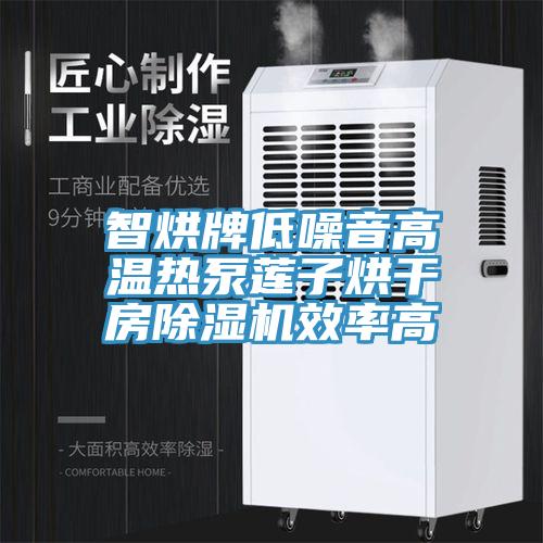 智烘牌低噪音高溫熱泵蓮子烘幹房草莓污视频在线看效率高