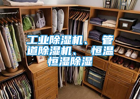 工業草莓污视频在线看、 管道草莓污视频在线看、 恒溫恒濕除濕