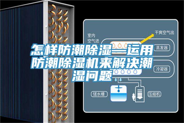 怎樣防潮除濕—運用防潮草莓污视频在线看來解決潮濕問題