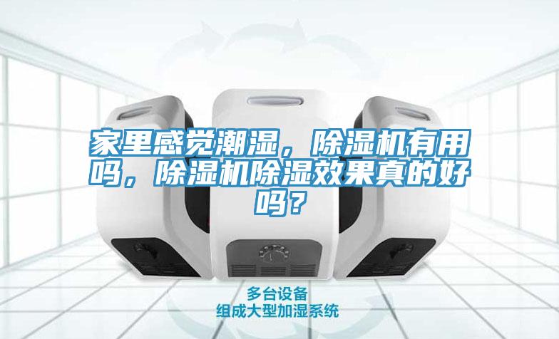 家裏感覺潮濕，草莓污视频在线看有用嗎，草莓污视频在线看除濕效果真的好嗎？