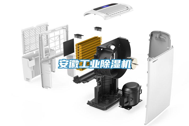 安徽工業草莓污视频在线看