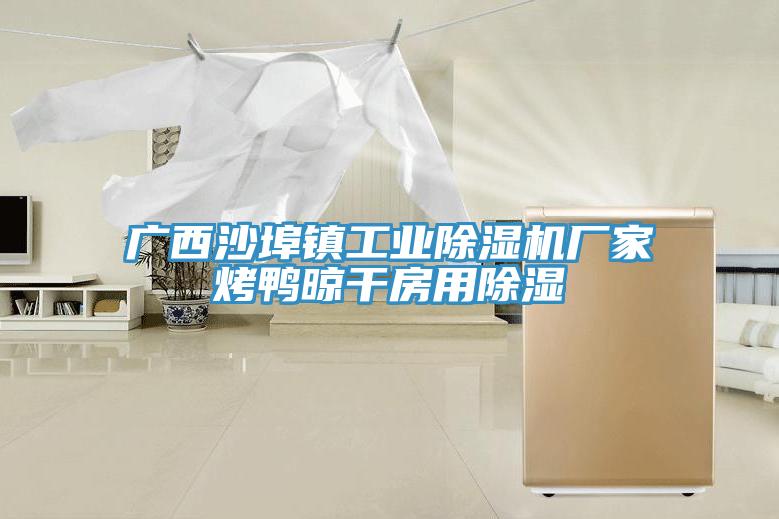 廣西沙埠鎮工業草莓污视频在线看廠家烤鴨晾幹房用除濕