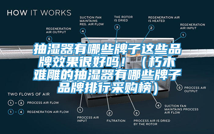 抽濕器有哪些牌子這些品牌效果很好嗎！（朽木難雕的抽濕器有哪些牌子品牌排行采購榜）