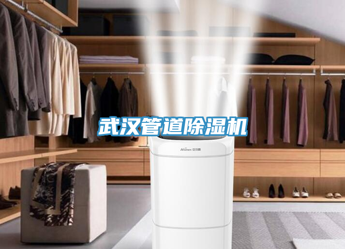 武漢管道草莓污视频在线看