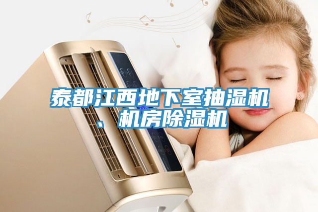 泰都江西地下室抽濕機、機房草莓污视频在线看