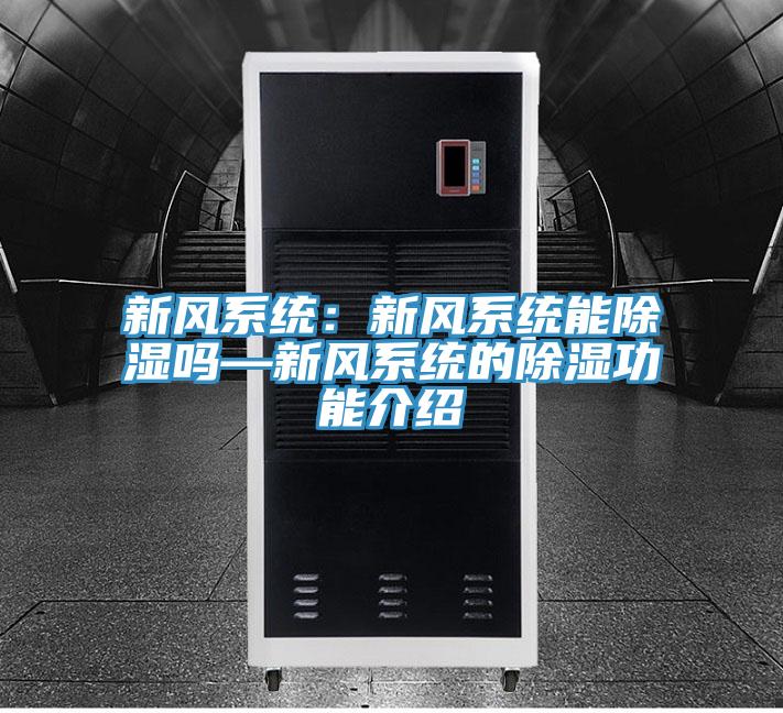 新風係統：新風係統能除濕嗎—新風係統的除濕功能介紹