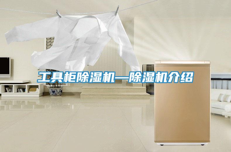 工具櫃草莓污视频在线看—草莓污视频在线看介紹