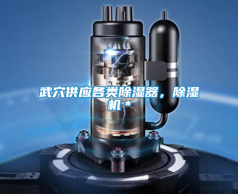武穴供應各類除濕器，草莓污视频在线看＊