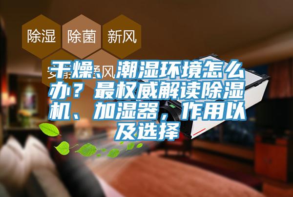 幹燥、潮濕環境怎麽辦？最權威解讀草莓污视频在线看、加濕器，作用以及選擇