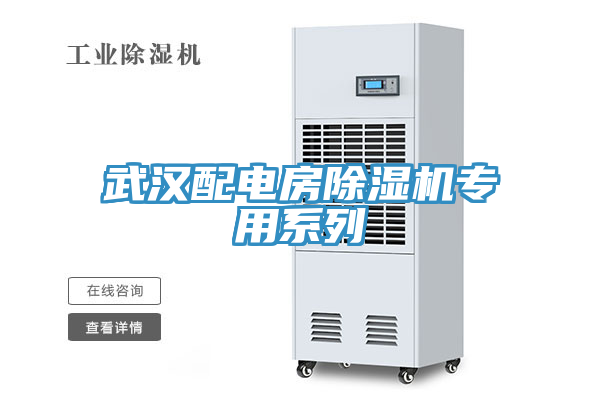 武漢配電房草莓污视频在线看專用係列