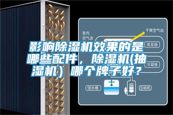 影響草莓污视频在线看效果的是哪些配件，草莓污视频在线看(抽濕機）哪個牌子好？