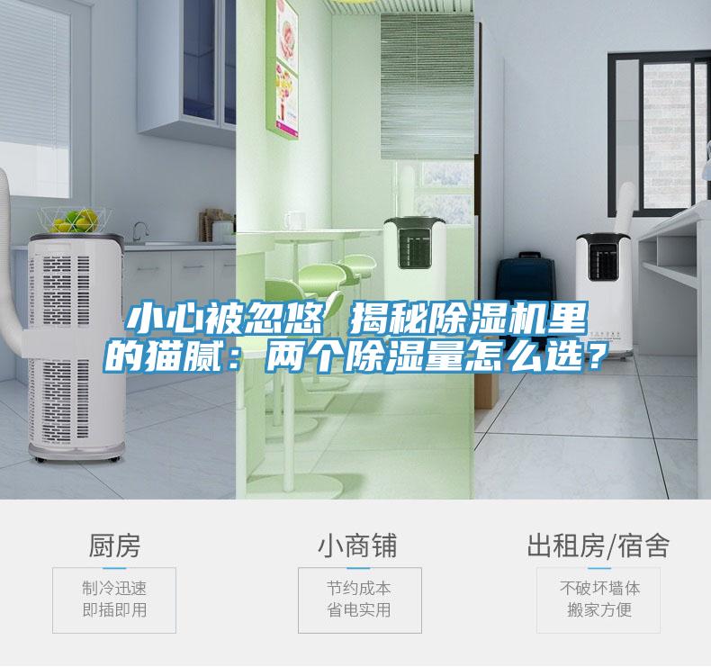 小心被忽悠 揭秘草莓污视频在线看裏的貓膩：兩個除濕量怎麽選？