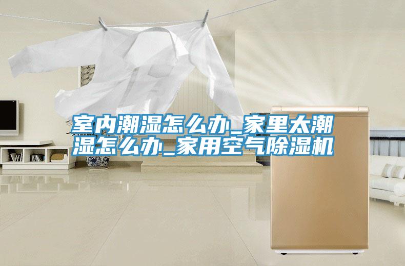 室內潮濕怎麽辦_家裏太潮濕怎麽辦_家用空氣草莓污视频在线看