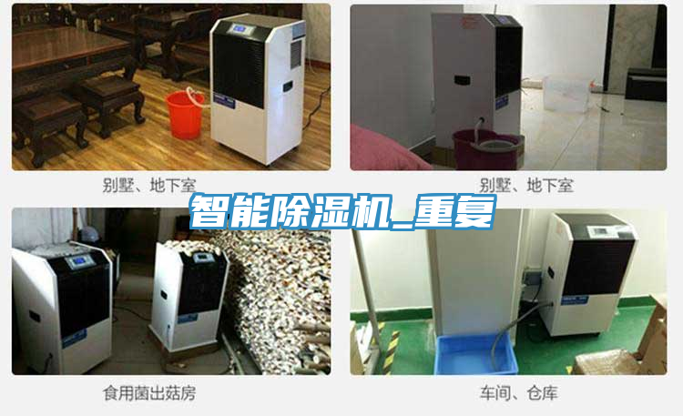 智能草莓污视频在线看_重複
