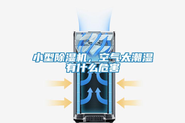 小型草莓污视频在线看，空氣太潮濕有什麽危害