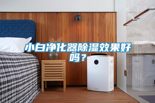 小白淨化器除濕效果好嗎？