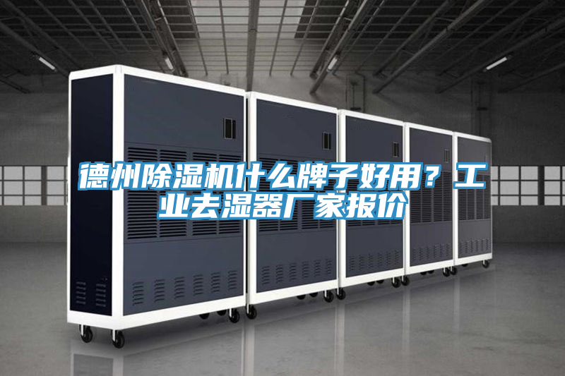 德州草莓污视频在线看什麽牌子好用？工業去濕器廠家報價