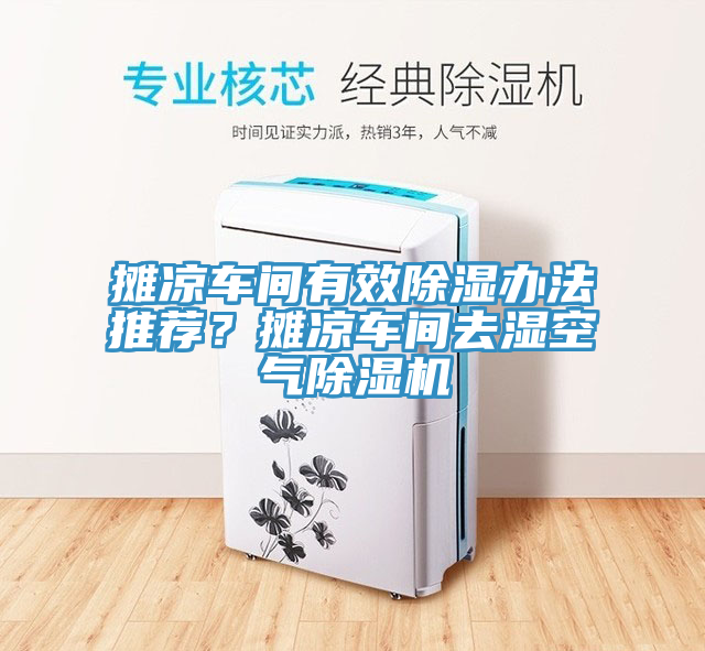 攤涼車間有效除濕辦法推薦？攤涼車間去濕空氣草莓污视频在线看