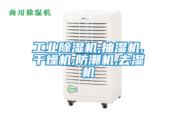 工業草莓污视频在线看,抽濕機,幹燥機,防潮機,去濕機