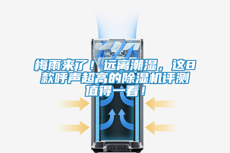 梅雨來了！遠離潮濕，這8款呼聲超高的草莓污视频在线看評測值得一看！