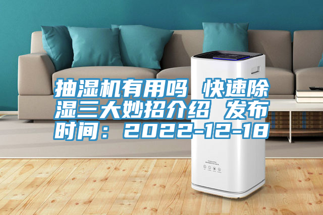 抽濕機有用嗎 快速除濕三大妙招介紹 發布時間：2022-12-18