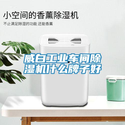 威白工業車間草莓污视频在线看什麽牌子好