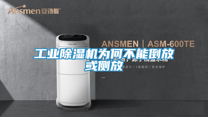 工業草莓污视频在线看為何不能倒放或側放